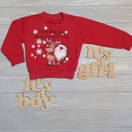 Реглан "Новогоднее чудо"  7-110